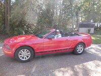 David Vincent Phillips